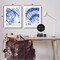 Stupell Industries Seashell Gallery Posters 2pc Canvas Wall Art Set Design by June Erica Vess
